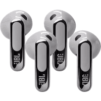 Koop JBL Live Flex 3 Zilver duo pack - 6151129385364