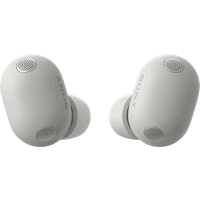 Koop Sony WF-1000XM6 Zilver - 4548736171824